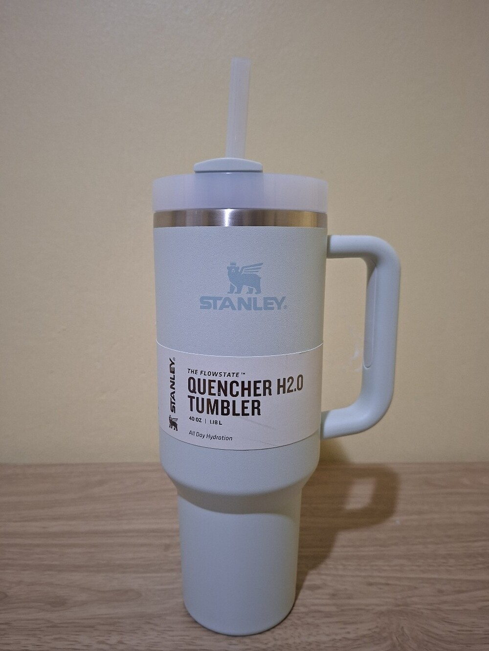 Stanley Quencher H2.0 Tumbler - Mist (Pale Mint Green) with Straw Lid 40 Oz New